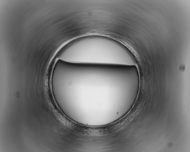 X0000100470976200806130751