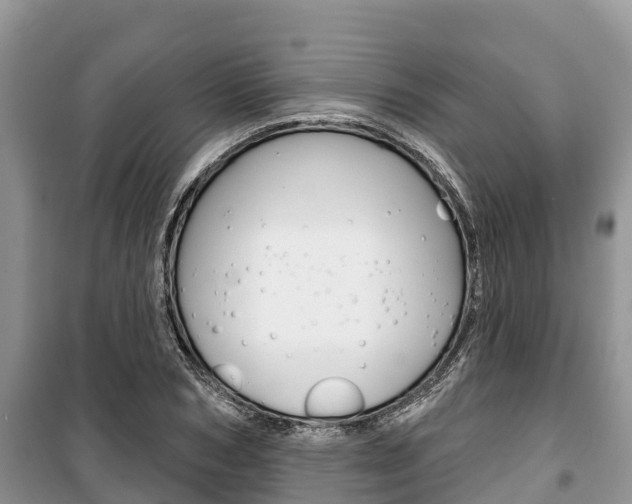 X0000100470978200806130751