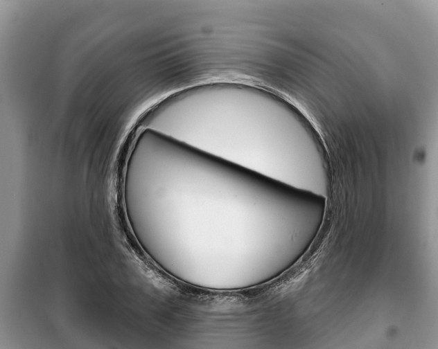 X0000100470979200806130751