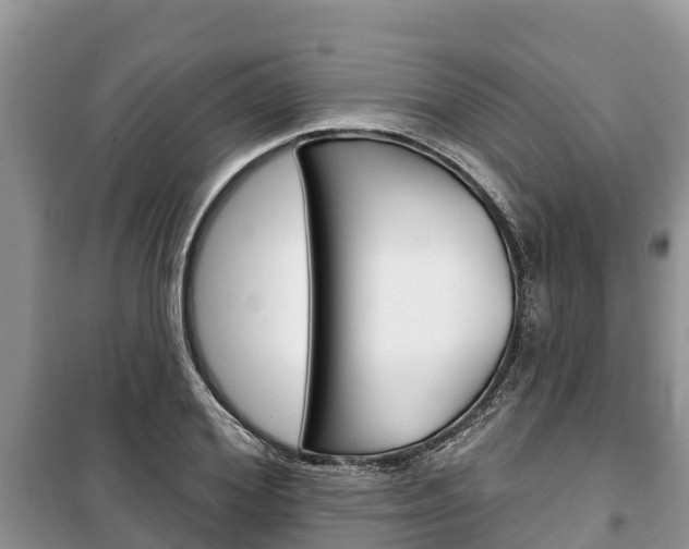 X0000100470980200806130751