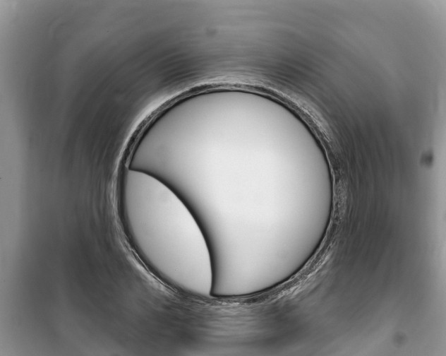 X0000100470982200806130751