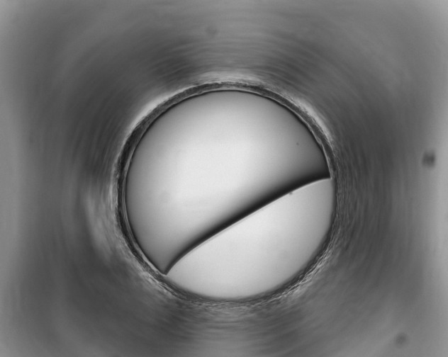 X0000100470983200806130751