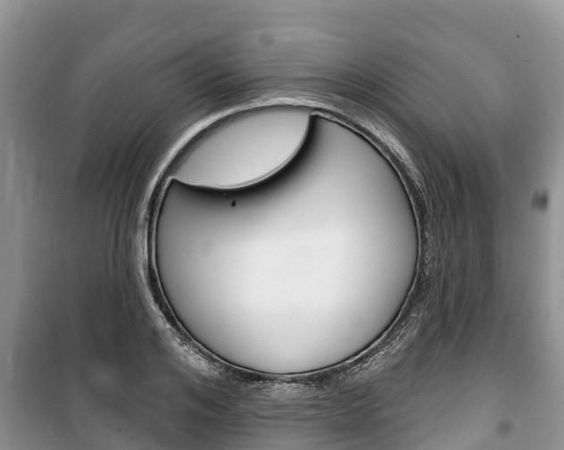 X0000100470984200806130751