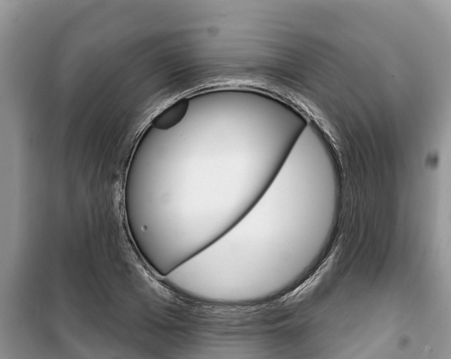 X0000100470985200806130751