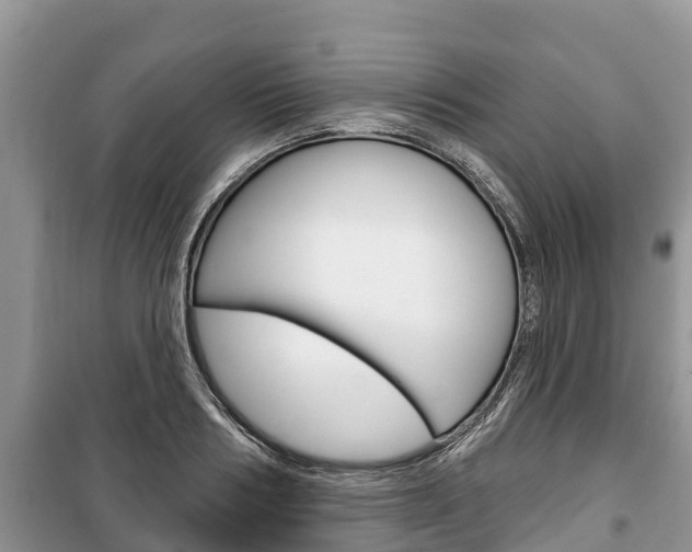 X0000100470986200806130751