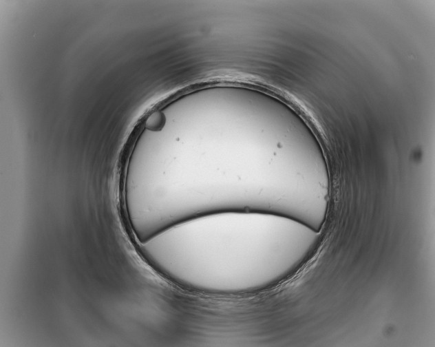 X0000100470987200806130751