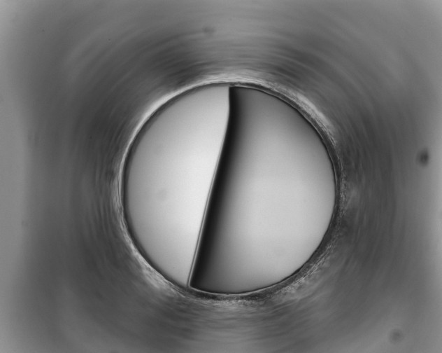 X0000100470988200806130751