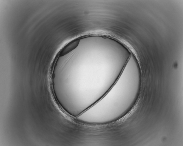 X0000100470989200806130751
