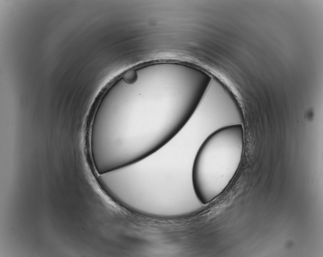 X0000100470991200806130750