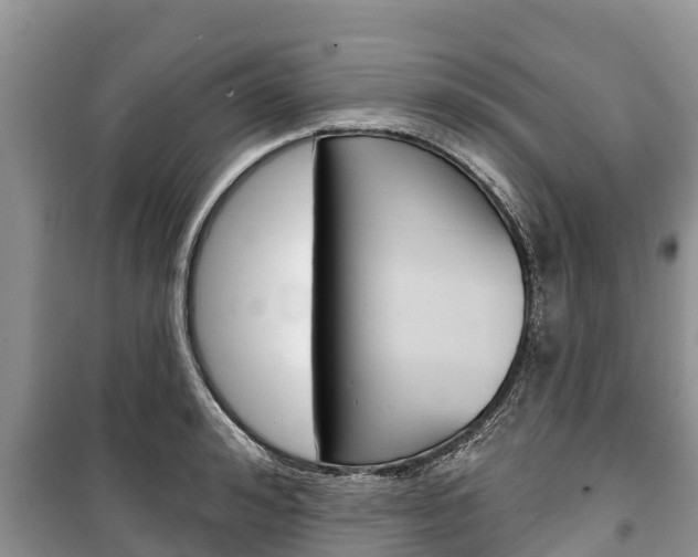 X0000100470992200806130750