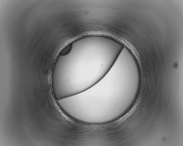 X0000100470993200806130750