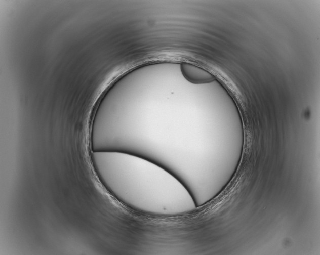 X0000100470994200806130750