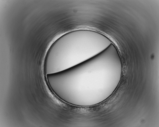X0000100470995200806130750