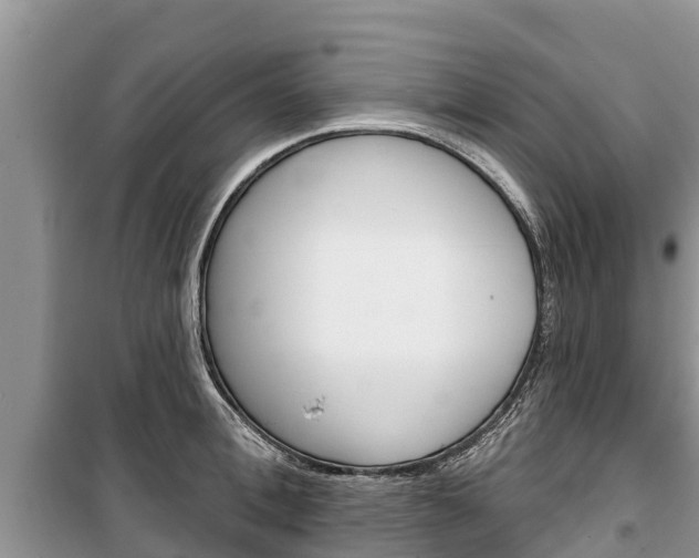 X0000100470996200806130750