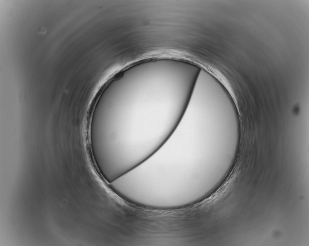 X0000100470997200806130750