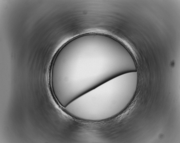 X0000100470999200806130750