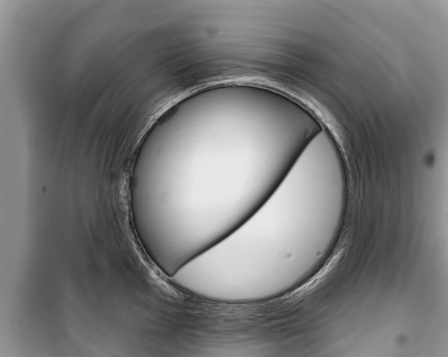 X0000100471001200806130750