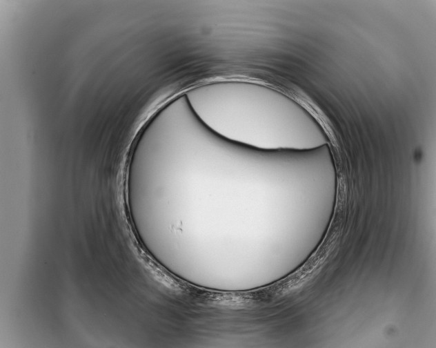 X0000100471002200806130750
