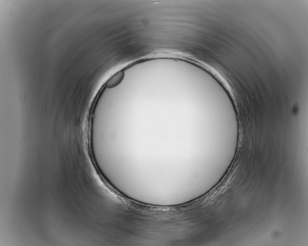 X0000100471003200806130750