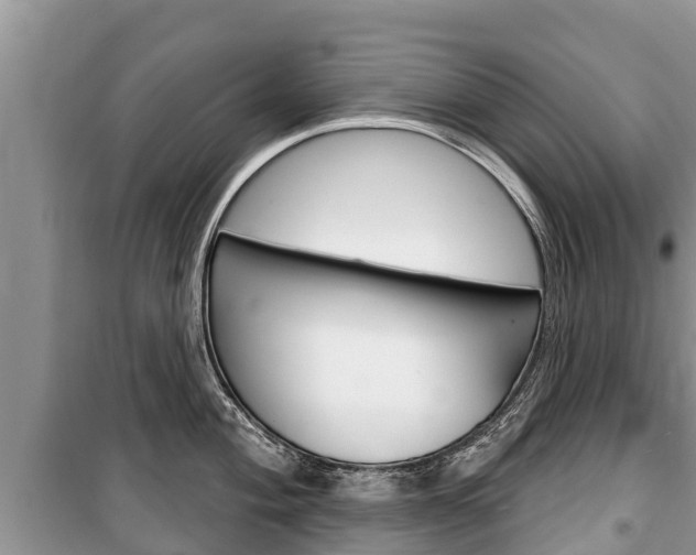 X0000100471004200806130750