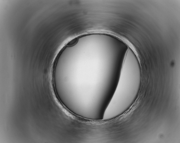 X0000100471005200806130750