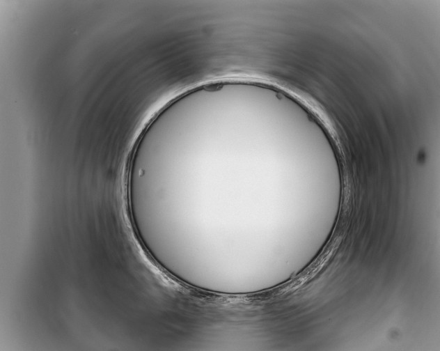X0000100471006200806130750