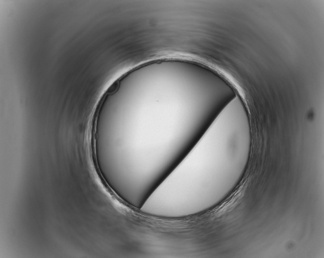 X0000100471007200806130750