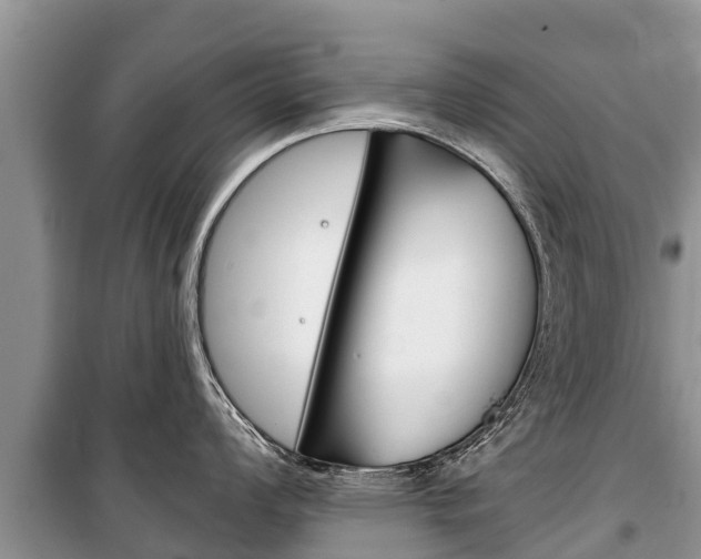 X0000100471008200806130750