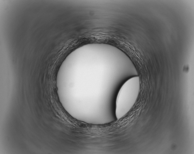 X0000100471009200806130750