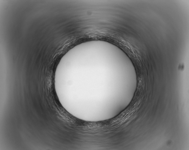 X0000100471012200806130750