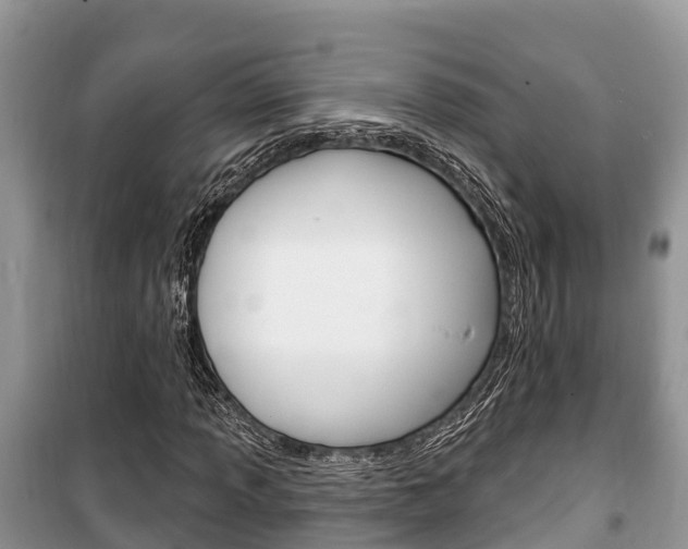 X0000100471013200806130750