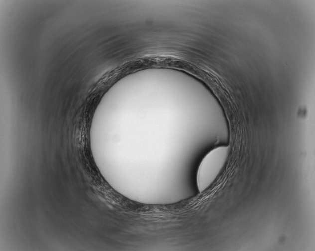 X0000100471014200806130750