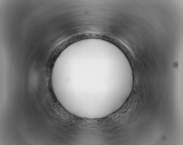 X0000100471015200806130750
