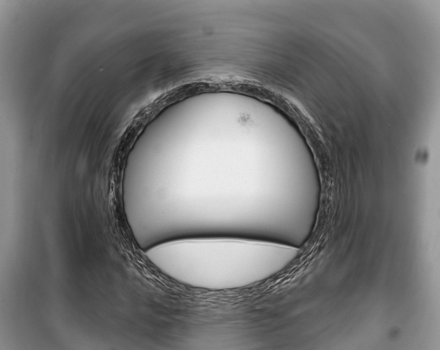 X0000100471016200806130750