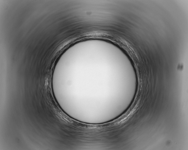 X0000100471017200806130750