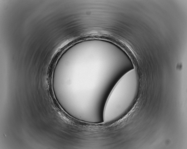 X0000100471018200806130750