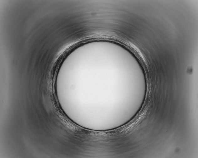 X0000100471019200806130750
