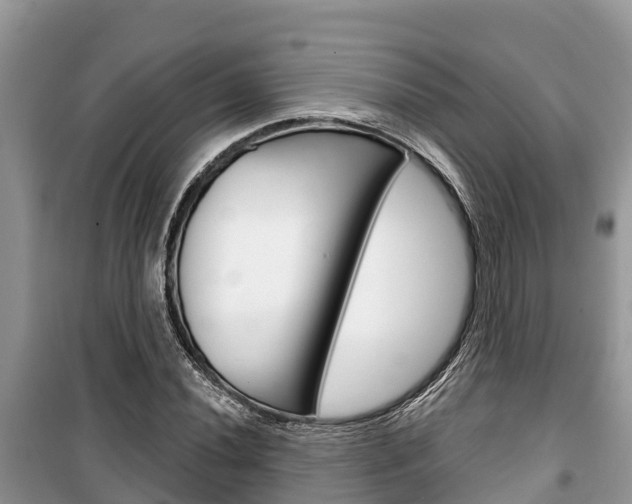 X0000100471020200806130750