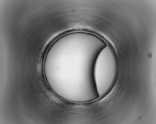 X0000100471021200806130750