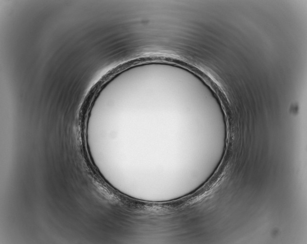 X0000100471022200806130750