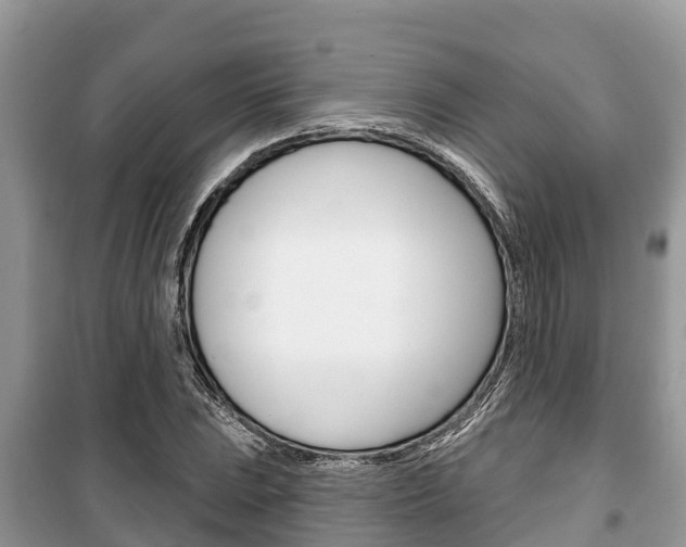 X0000100471023200806130750