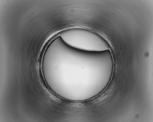 X0000100471024200806130750