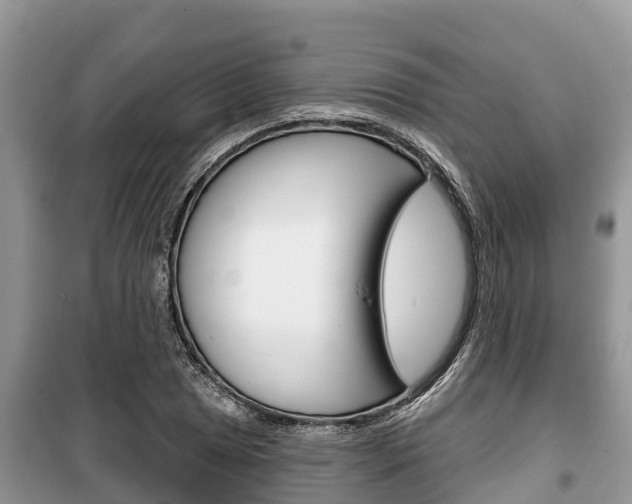 X0000100471025200806130750