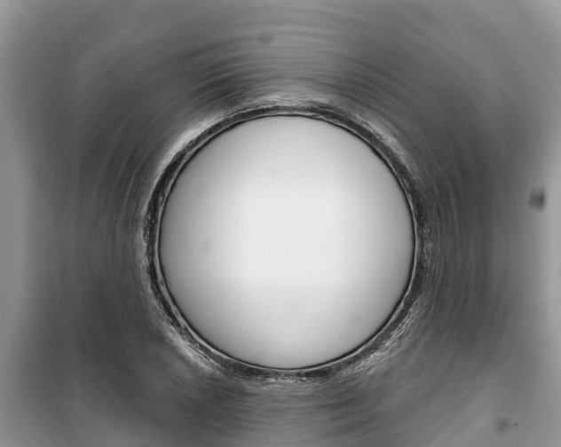 X0000100471026200806130750