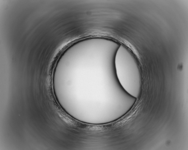 X0000100471027200806130750