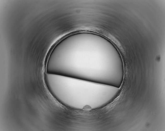 X0000100471028200806130750