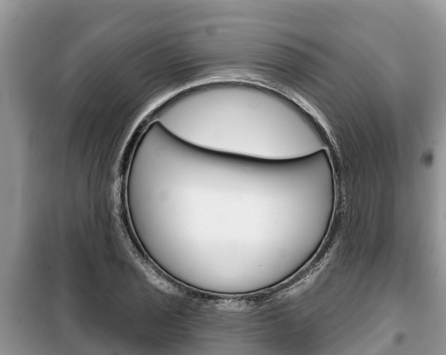 X0000100471029200806130750
