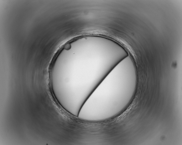 X0000100471031200806130750