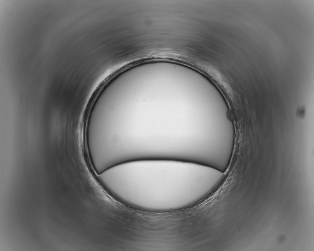 X0000100471032200806130750