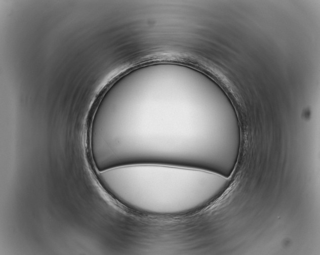 X0000100471034200806130750